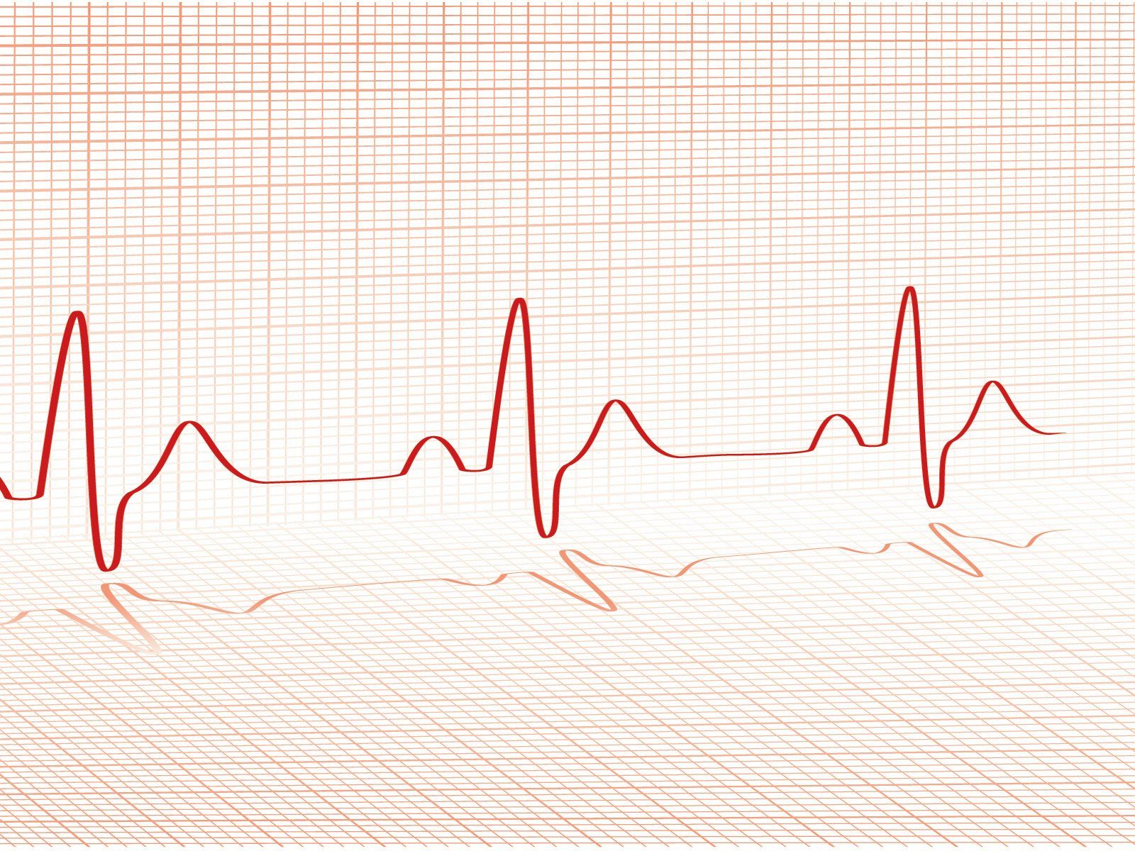 Helping VISITORS TO Achieve Their Fitness Goals 1